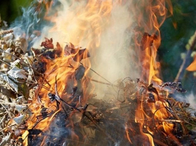 Закарпатцям, які спалюють сухе листя, загрожує кримінальна відповідальність