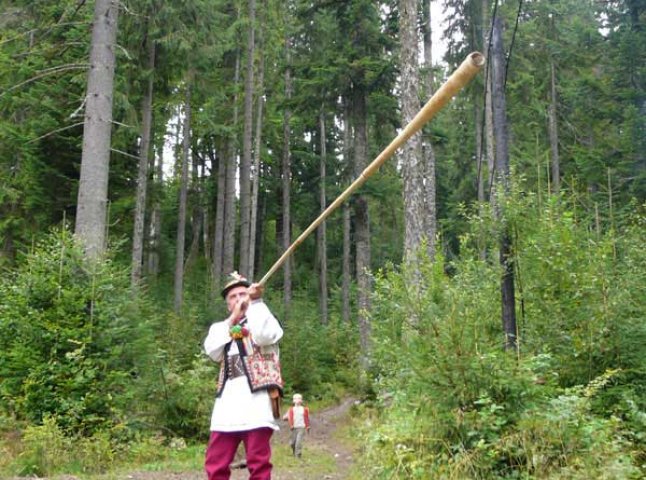 Фестивалі та програми на Закарпатті за серпень 2010 року