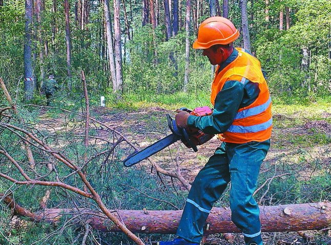 Закарпатці борються за звання кращого лісоруба України 