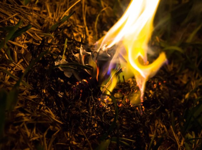 Українцям пояснили, чи можна спалювати сміття, траву та гілки у дворі
