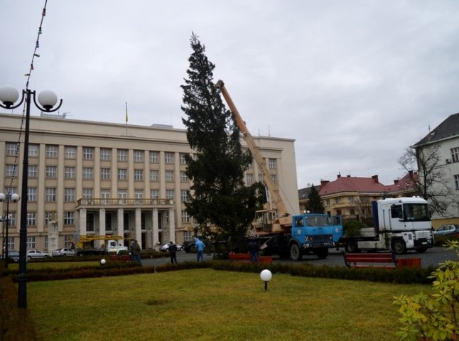 Перед Закарпатською ОДА встановлюють величезну ялинку