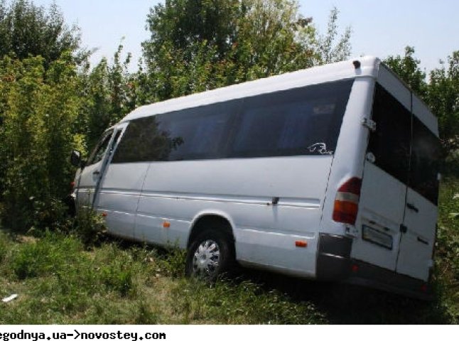 На Закарпатті перекинувся мікроавтобус: двоє загиблих