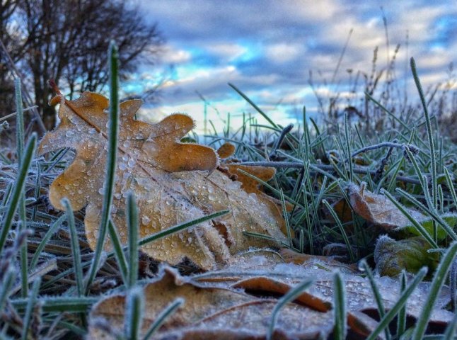 Коли очікувати перші заморозки: синоптик озвучив прогноз погоди на осінь