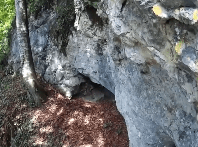 Печерні монастирі Закарпаття: цікава історія