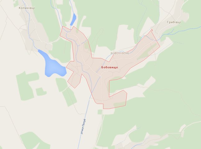 Двох бійців "Правого сектора" виявили у Бобовищі, село очеплене, бійців переслідують спецпризначенці