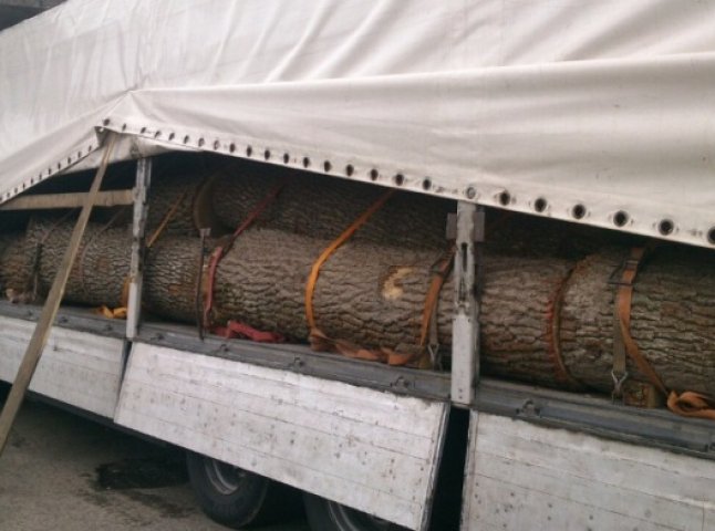 У Мукачеві патрульні затримали вантажівку з деревиною
