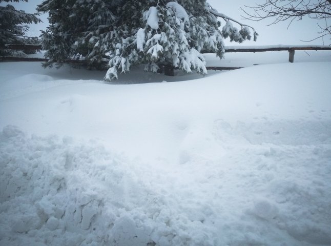 Гірські райони Мукачівщини засипало снігом: автобуси не ходять, а влада обіцяє розчистити дороги