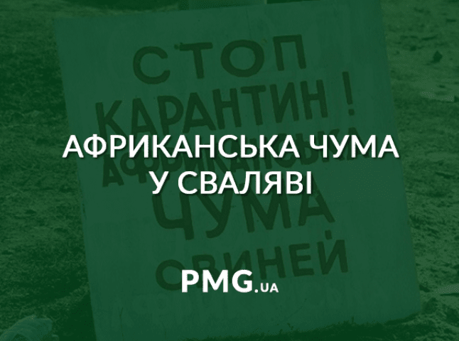 У фермерському господарстві у Сваляві виявили африканську чуму свиней