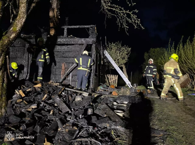 Рятувальники розповіли про пожежу, яка вирувала в неділю на Рахівщині