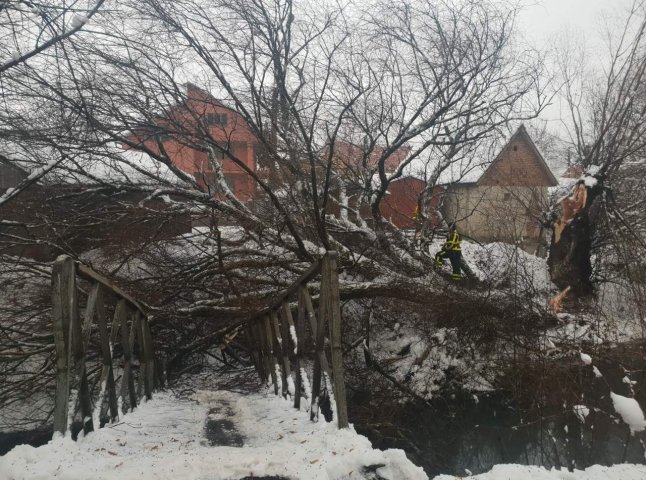 Наслідки негоди: дерево зруйнувало міст