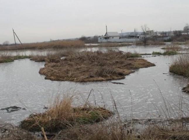 В одному із сіл Мукачівського району розгорівся справжній екологічний скандал (ФОТО)