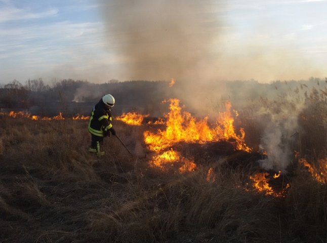 На Берегівщині згоріли 4 гектари сухої трави