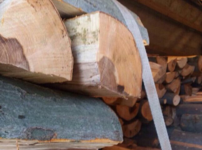 Закарпатці незаконно нарубали повну вантажівку дров
