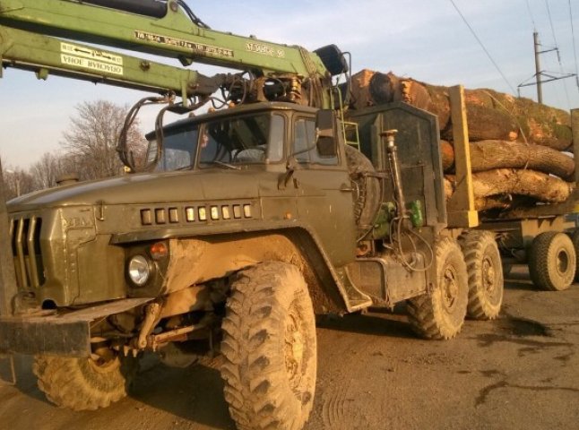 Поліція затримала водія, який перевозив повний "Урал" деревини із сумнівною накладною 