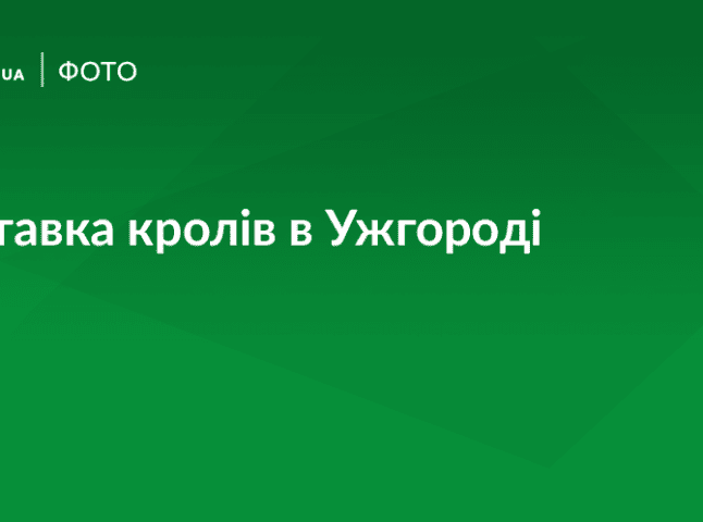 В Ужгороді відбулась виставка кролів