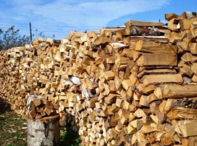 Родини тячівських бійців АТО будуть взимку забезпечені дровами
