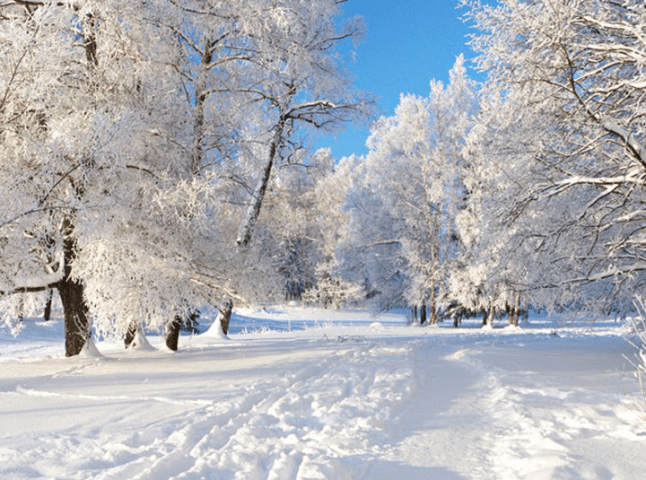 Якою буде зима в Україні – прогноз метеоролога