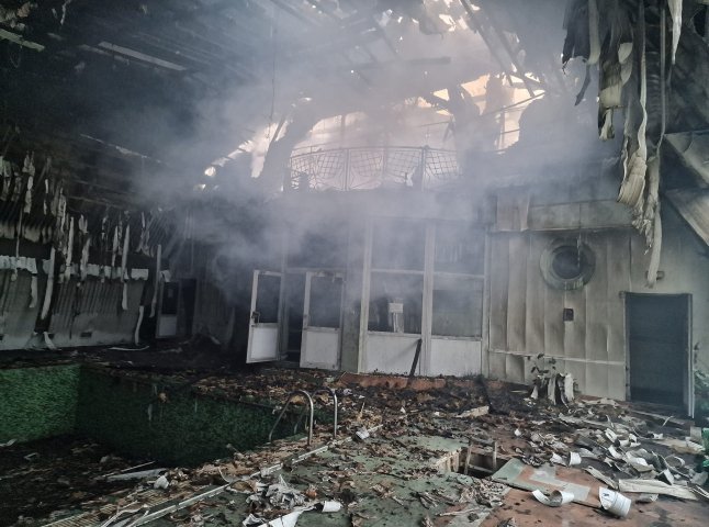 Пожежа на території санаторію в Мукачівському районі: рятувальники показали фото