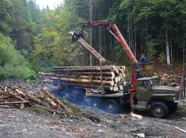Прокуратура вимагає відшкодувати державі 225 тис. грн шкоди заподіяної при лісозаготівельних роботах