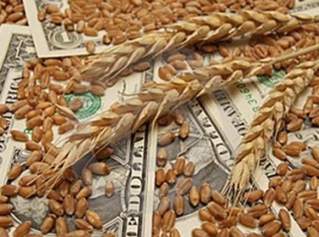 ТОВ "КІММ" виплатить Державній продовольчо-зерновій корпорації України майже 400 тисяч гривень