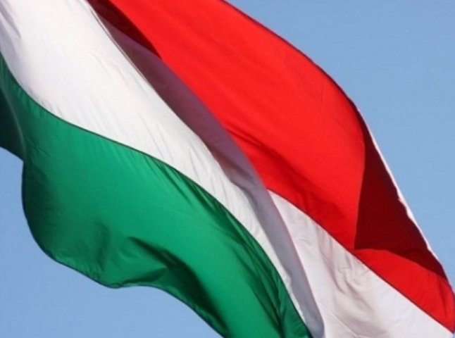 Угорці Закарпаття обурені нарізкою виборчих округів