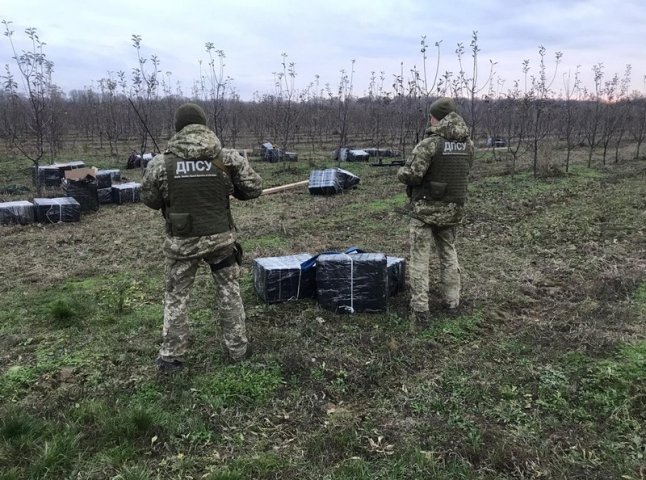 У Виноградівському районі яблуневий сад "всіяли" сигаретами