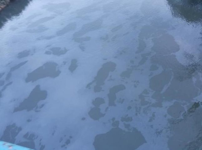 На річці Уж помітили дивні масляні плями: мерія звернулась в УДСНС