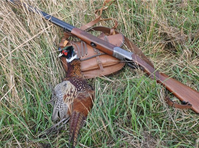 На Мукачівщині стартував сезон полювання на фазана (ВІДЕО)