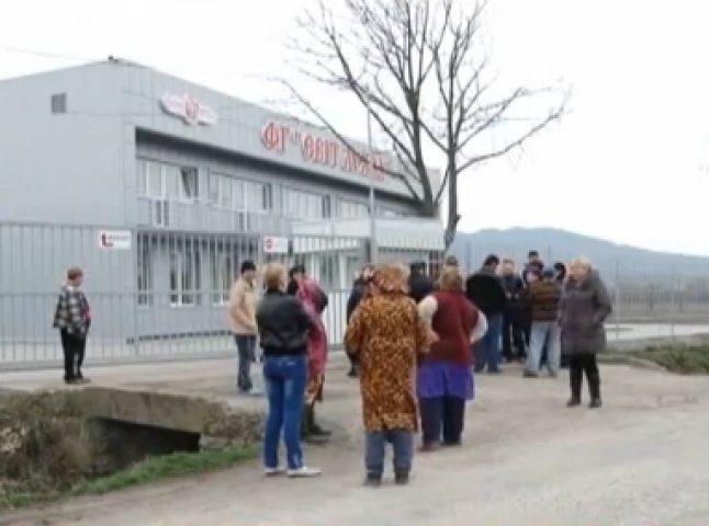 Громада села Жуково виступила категорично проти будівництва скотобійні на їх території (ВІДЕО)