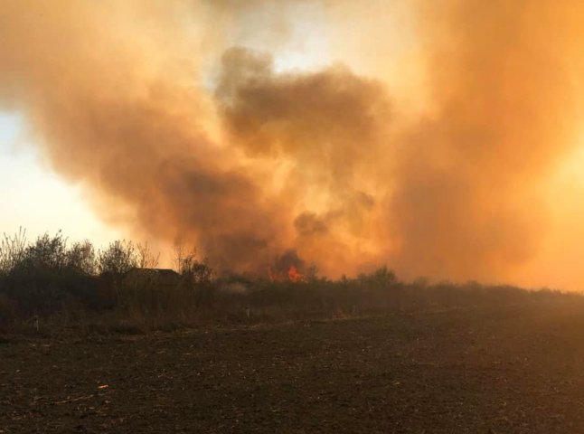 На Мукачівщині масштабна пожежа