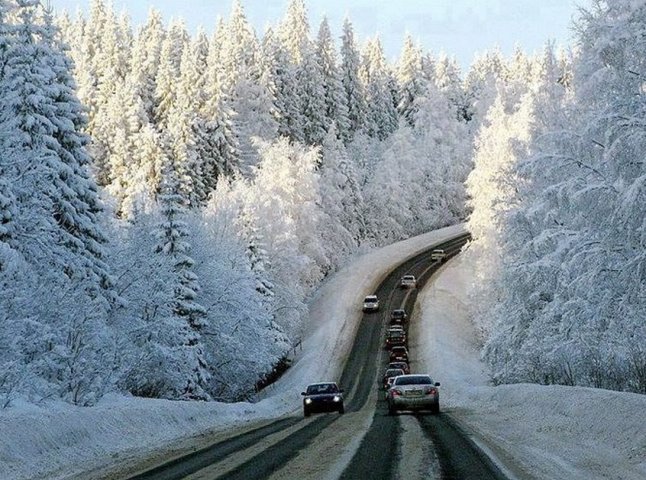 В області випав мокрий сніг: почали підсипати дороги