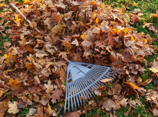 Не тільки шкода диханню: спалене листя влетить в копієчку