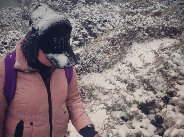 Користувачі Інстаграму в захопленні від першого снігу на Говерлі