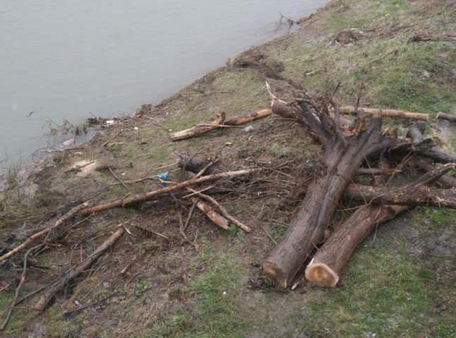 Опори пішохідного мосту в Ужгороді очистили від сміття