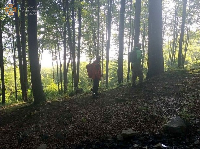 Чотирьох дітей, які зникли в лісі, знайшли