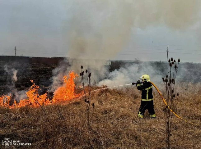 На Закарпатті за допомогою дронів виявляють паліїв трави та сухостою