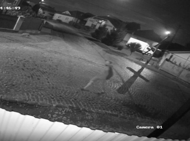 Камери відеоспостереження зафіксували злочин, який скоїли вночі у Мукачеві