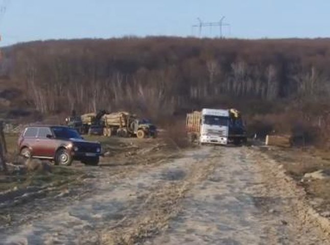 На Ужгородщині активісти перекрили дорогу, щоб зупинити лісовози