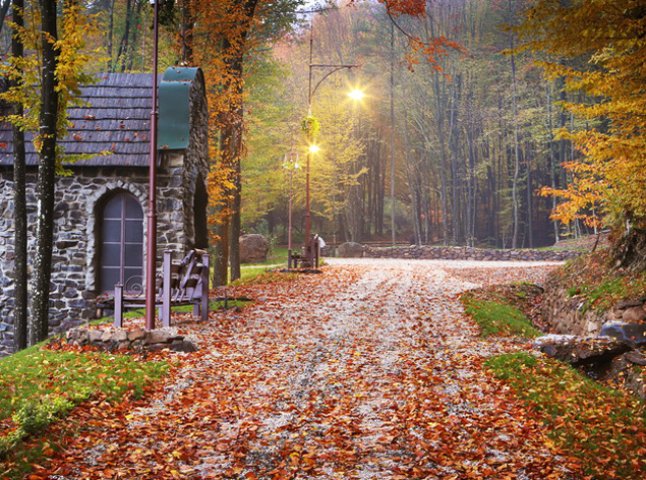 Найкращі парки Закарпаття, які заворожують своєю красою восени