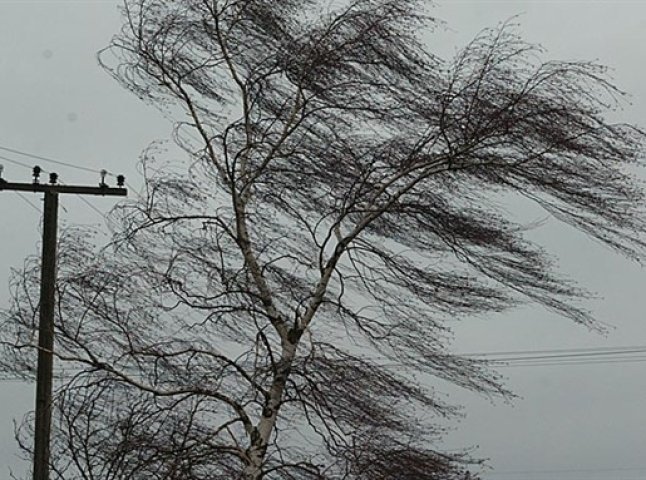 П’ять електричних стовпів повалив вітер на Перечинщині