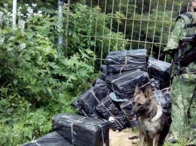 На Рахівщині неподалік румунського кордону прикордонники виявили 6 ящиків контрабандних сигарет