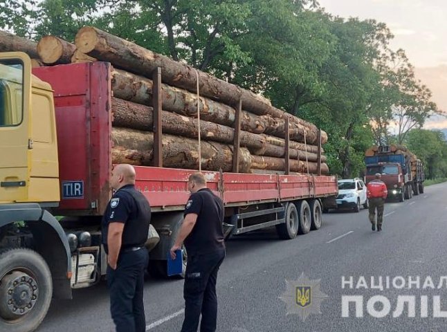 Дві вантажівки, "набиті" під верх нелегальною деревиною, затримали на Закарпатті