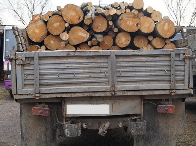 Іршавські правоохоронці затримали вантажівку з деревиною