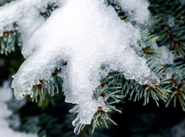 Синоптики прогнозують сніг і мороз 17 листопада
