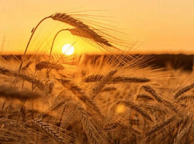 Погода на літо 2025: чи буде аномальна спека цього року Погода на літо 2025