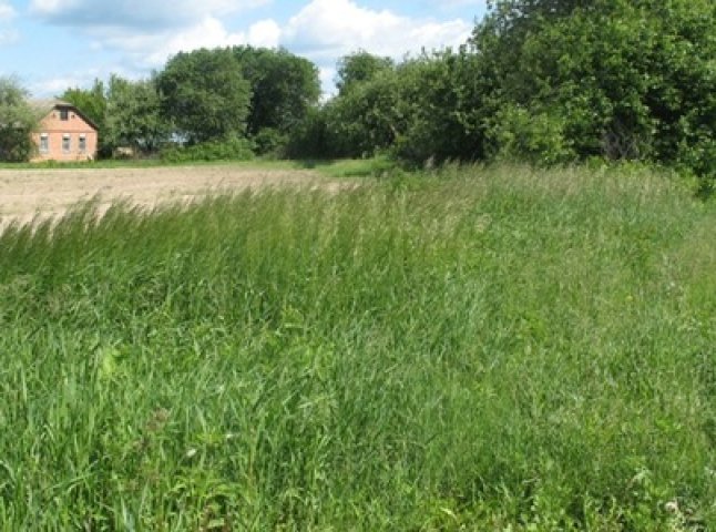 На Іршавщині фермерське господарство користувалося 43 га землі за заниженою орендною платою 