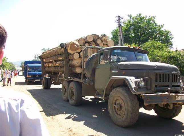 На Мукачівщині нелегально діяв деревообробний цех