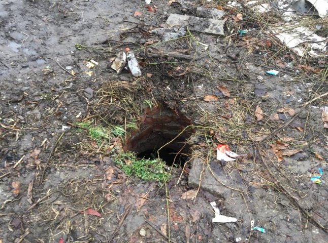 У Виноградові звичайні жителі та рятувальники врятували собаку, яка впала у каналізаційний люк