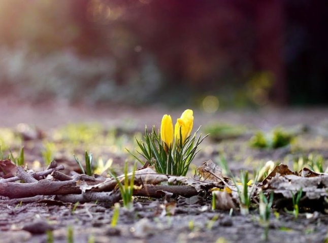 Початок весни: якою буде погода у березні