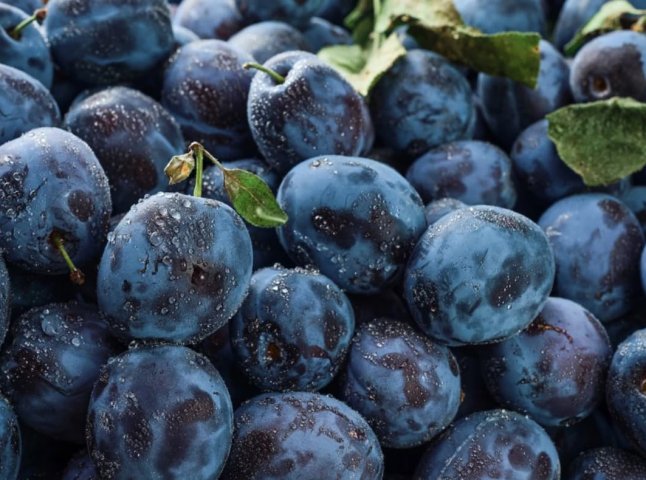 Як приготувати смачні мариновані сливи до м’яса: рецепт на 5 кг Мариновані сливи - рецепт